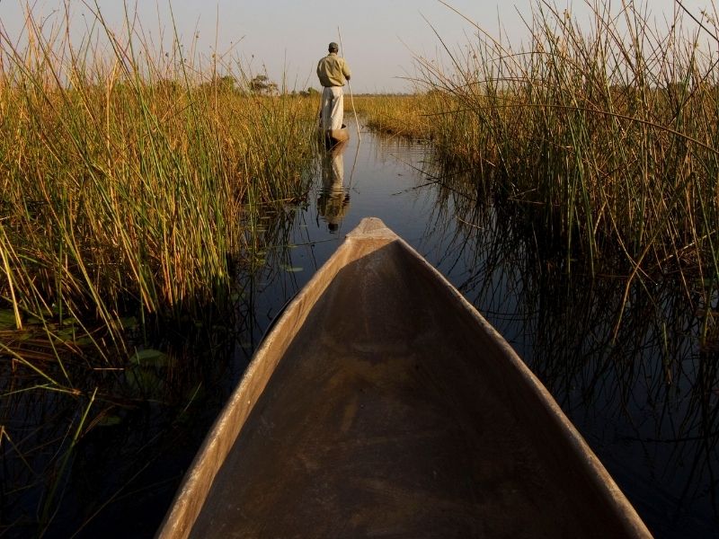 Embark on a mokoro excursion on your luxury Botswana safari