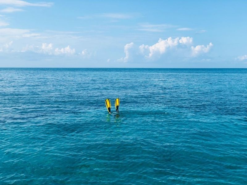 Person snorkelling in Caribbean