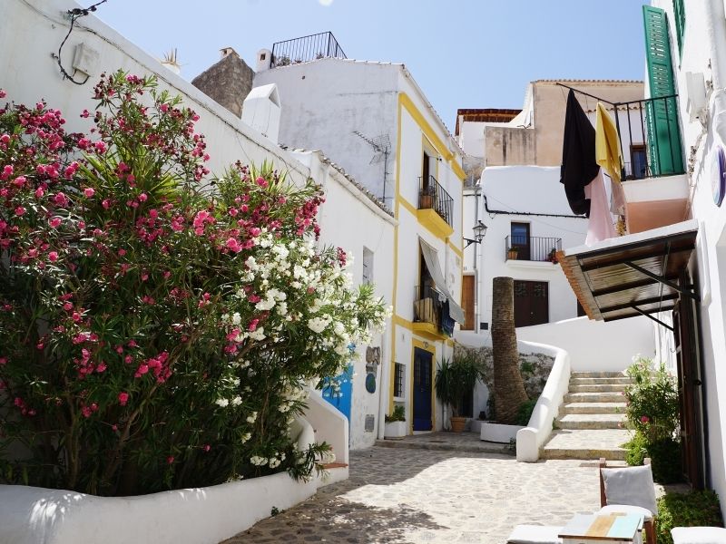 Explore Ibiza City on a privately guided walking tour