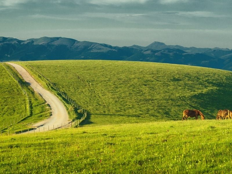 Umbrian Countryside