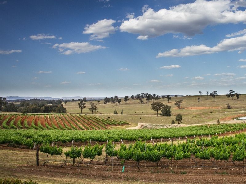 Hunter Valley