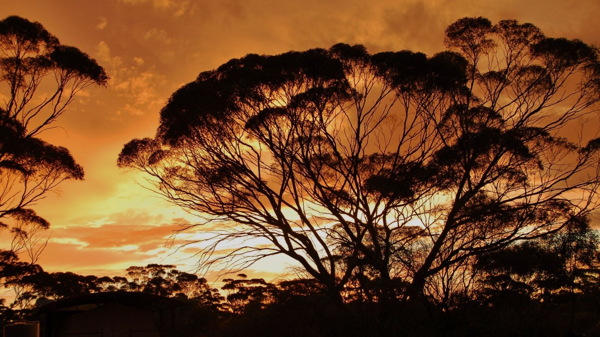 Kangaluna Camp