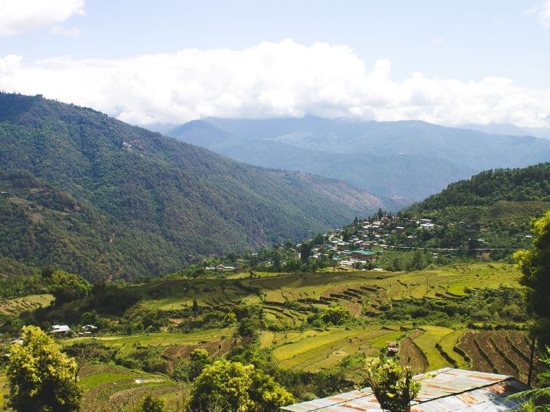 Bhutan rice fields