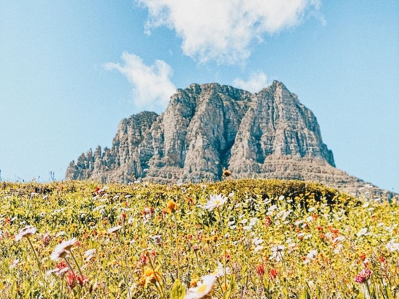 Glacier National Park