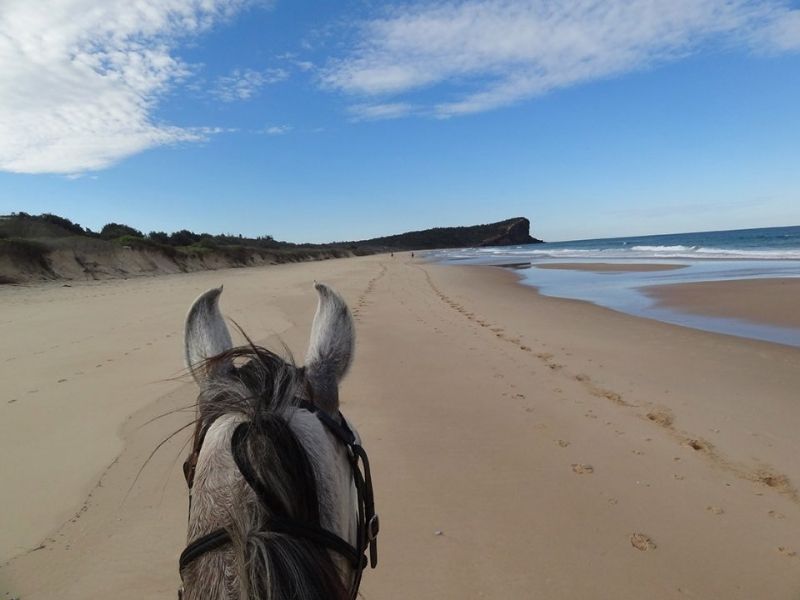 Saddle up for a horse riding experience along the beach