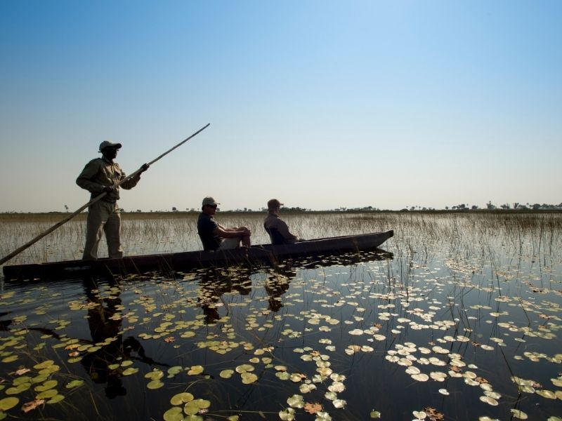 http://Mokoro%20Safari,%20Okavango%20Delta cc