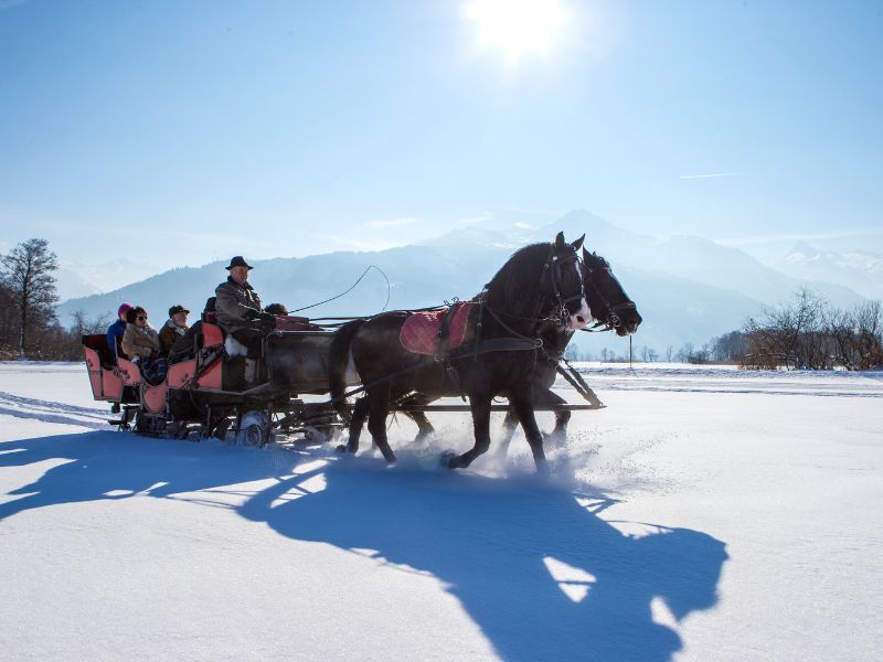 Horse carriage kitzbuhel luxury ski