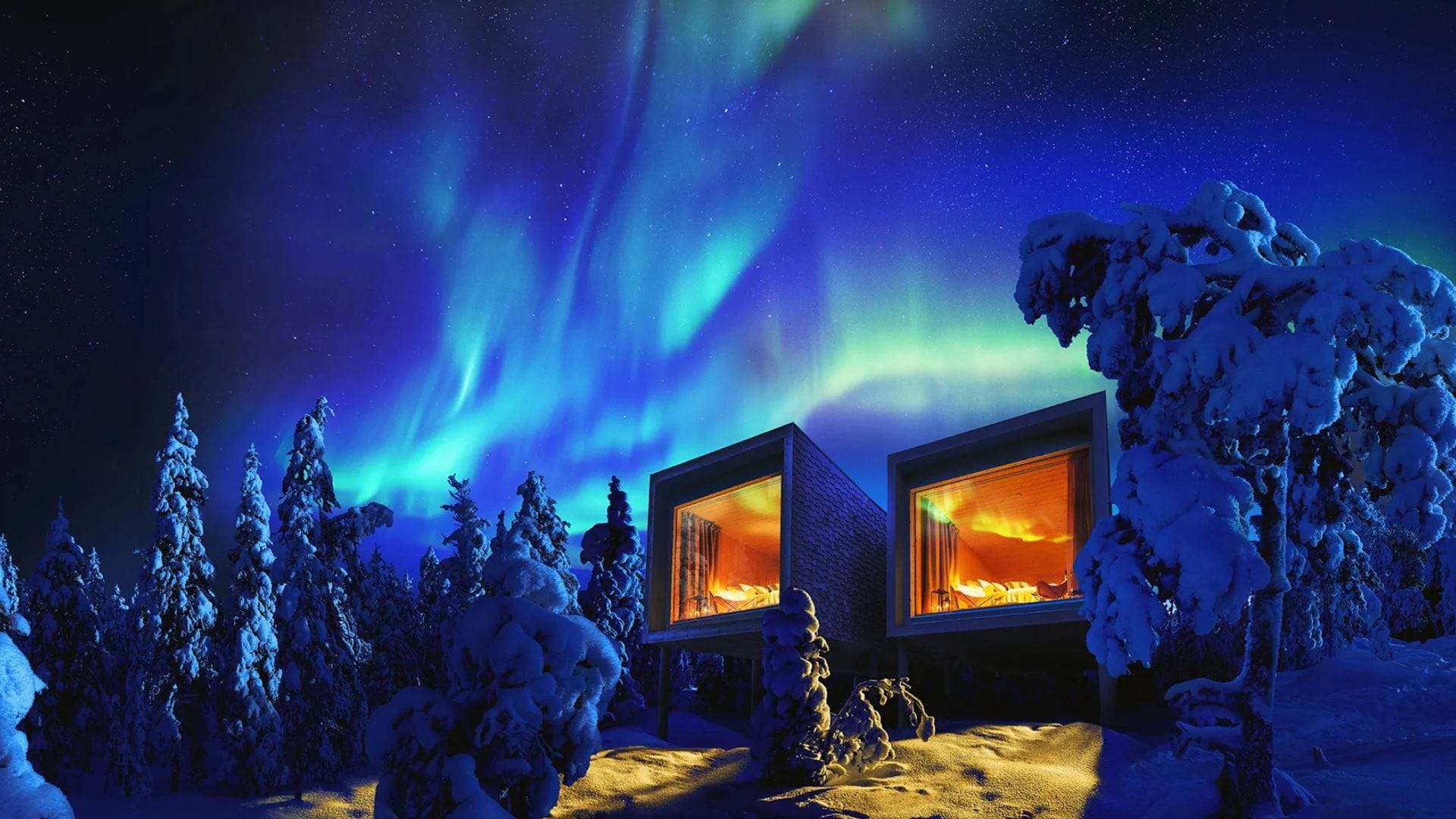 Arctic Tree House Hotel Night