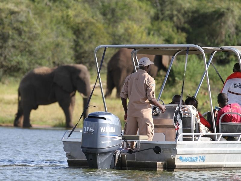 Spot elephants and other wildlife on a boat ride along the River Nile during your luxury Ugandan holiday