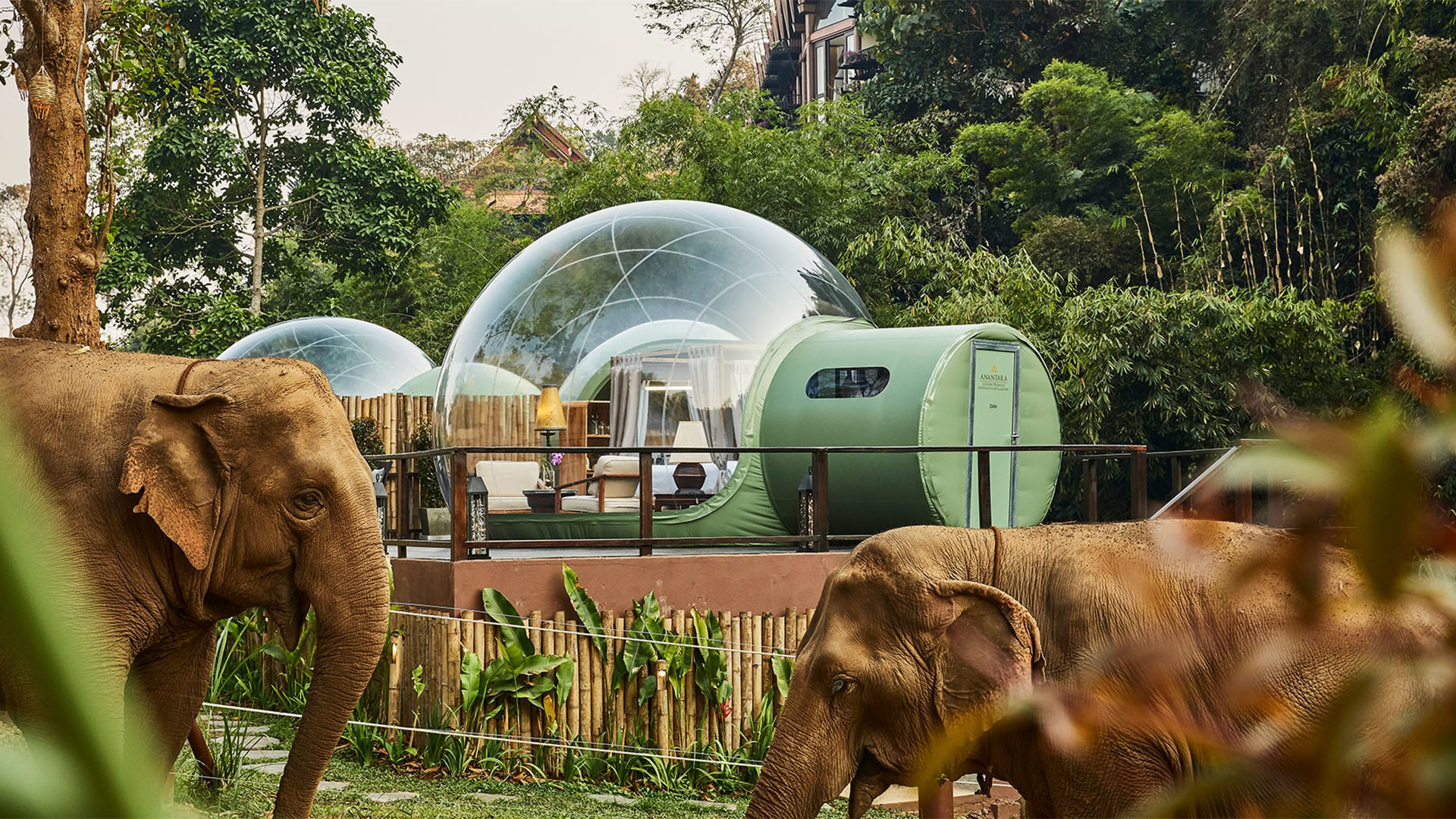 Anantara-Elephant-Camp