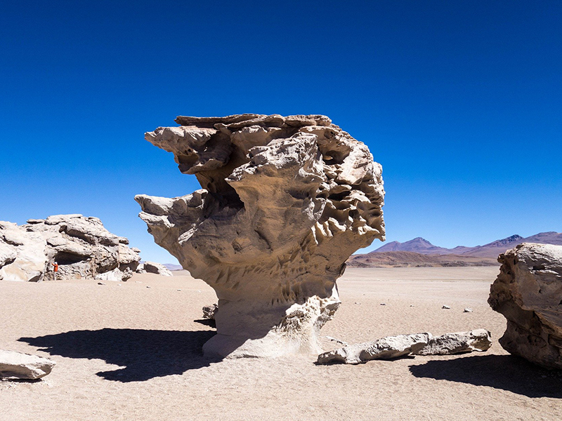 Ojo de Perdiz Bolivia