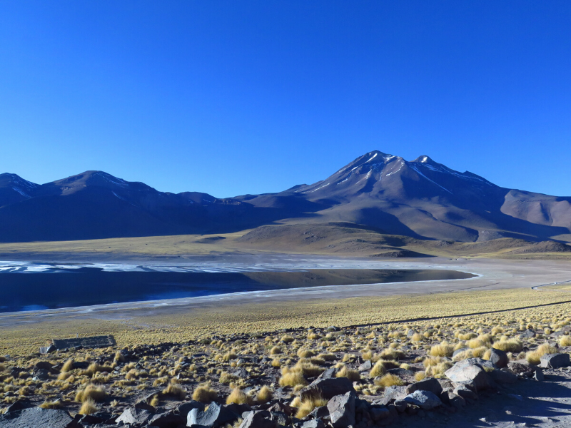 Atacama Cejar Chile