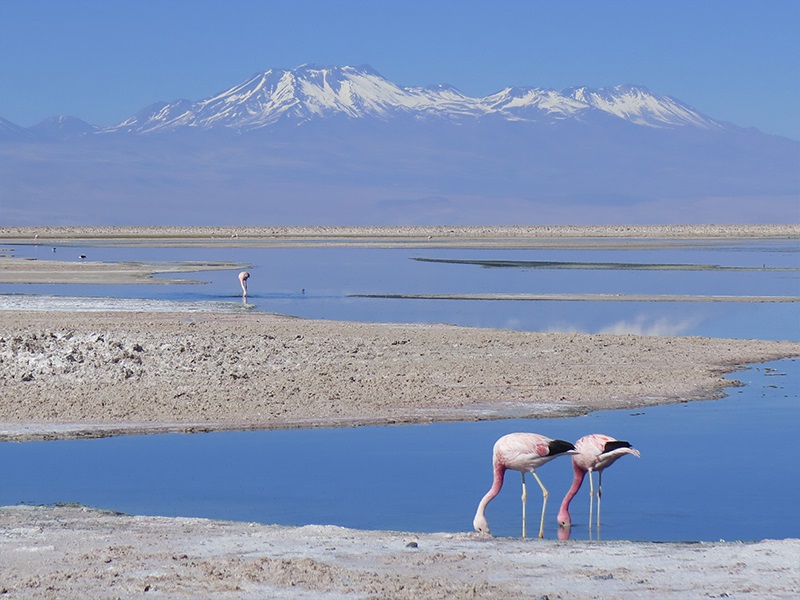 Atacama, Chile