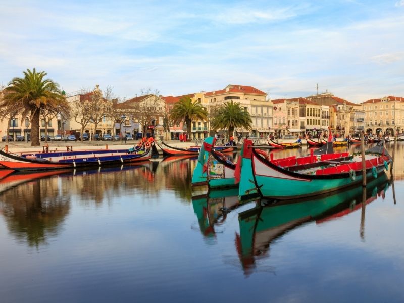 Vouga River, Aveiro