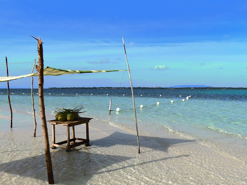 Bohol Beach