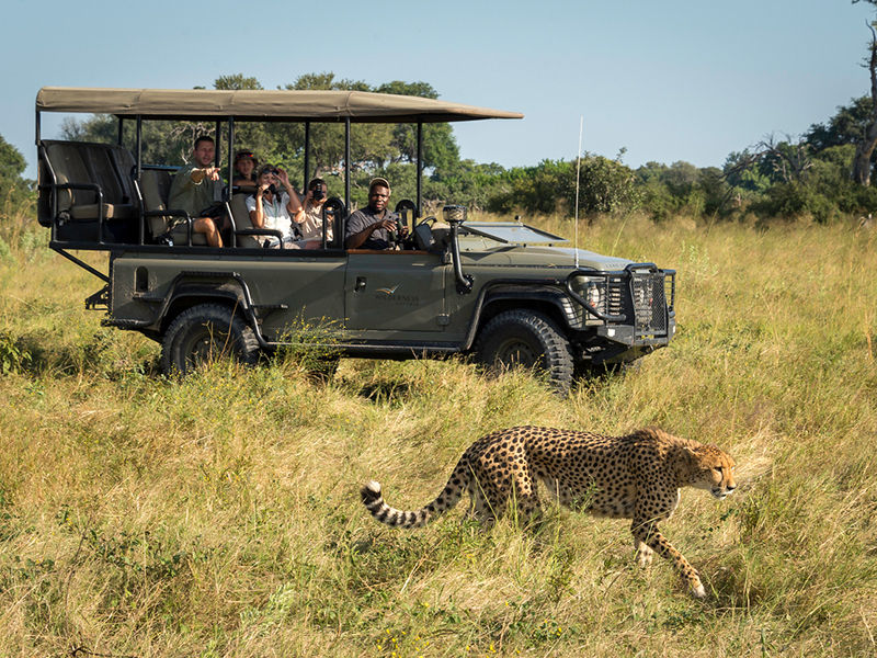 Spot leopards during game drives on your luxury African safari holiday