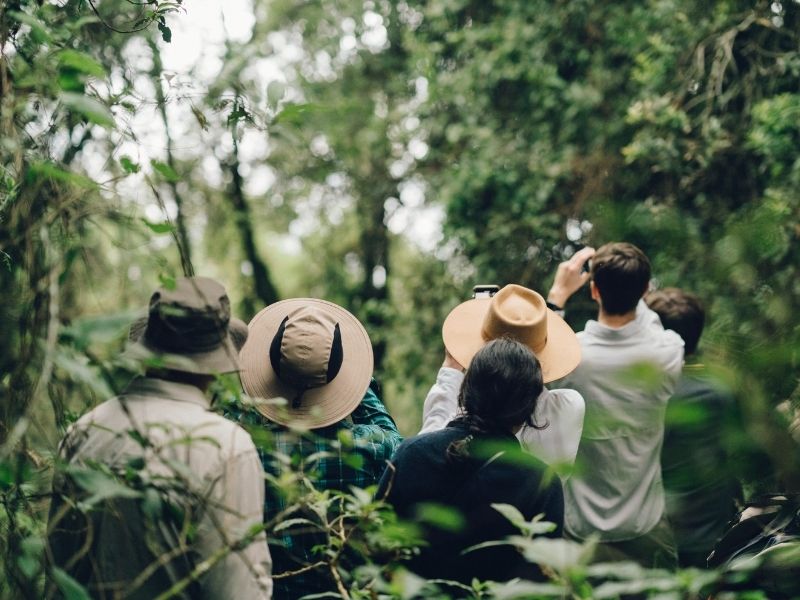 Go gorilla trekking in Virunga National Park on your luxury holiday to the Democratic Republic of Congo