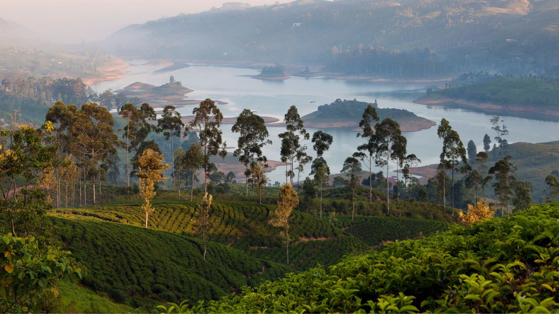 Castlereagh, Sri Lanka