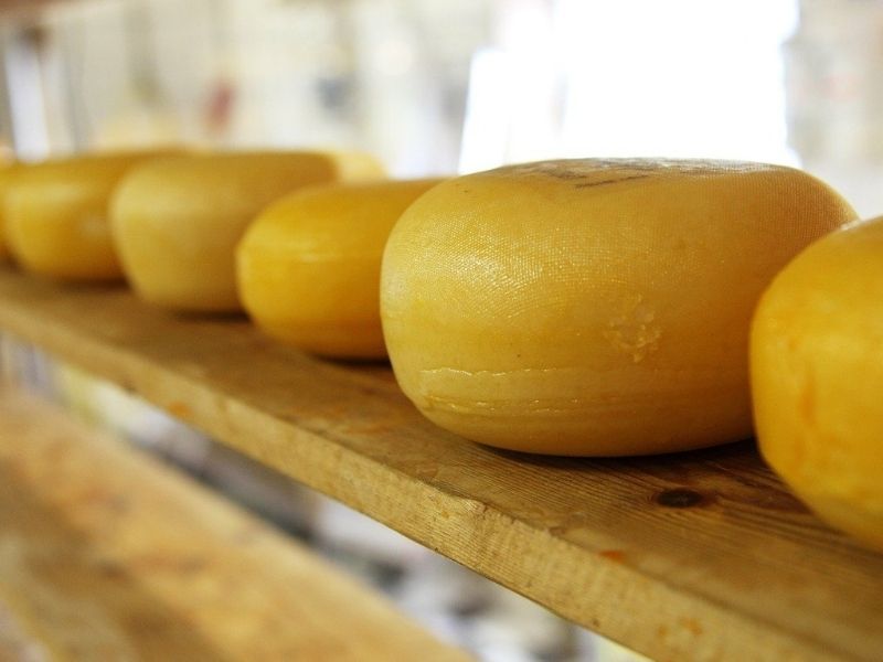 Serra de Estrela is the cheesemaking capital of Portugal