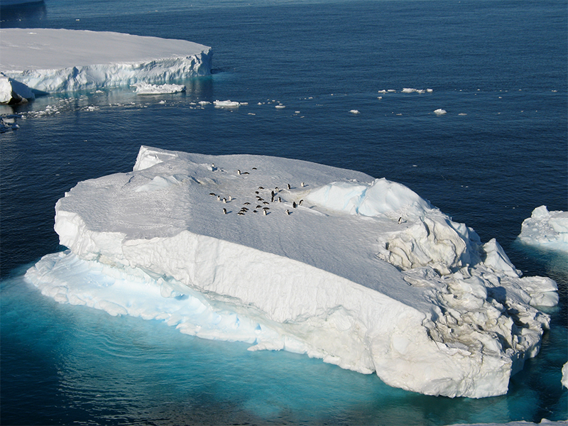 Antarctica iceberg