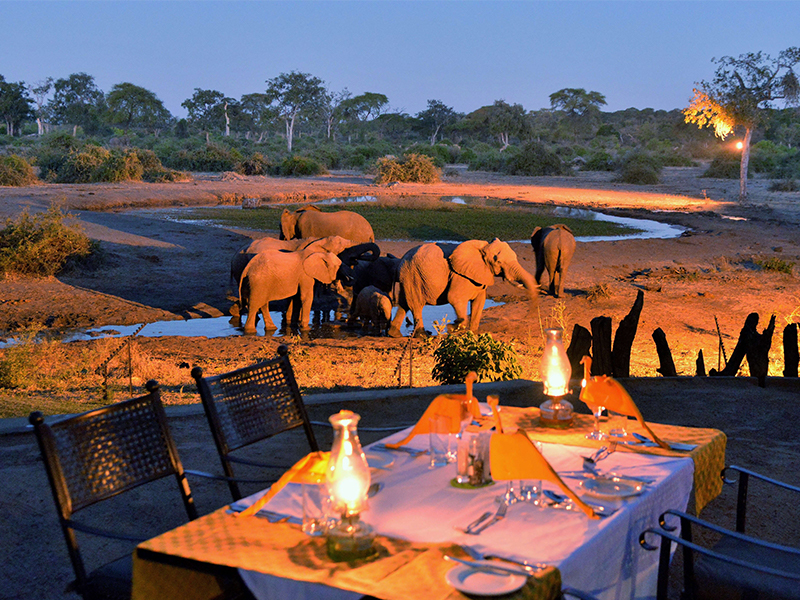 Spot elephants during your stay at Chobe National Park on your luxury African holiday