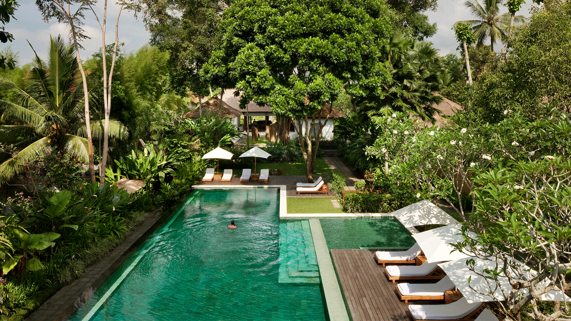 34+ Capella Ubud Bali Indonésia Images