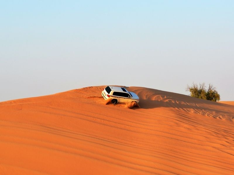 Embark on a private 4x4 excursion to the Dubai Desert Conservation Reserve during your luxury holiday