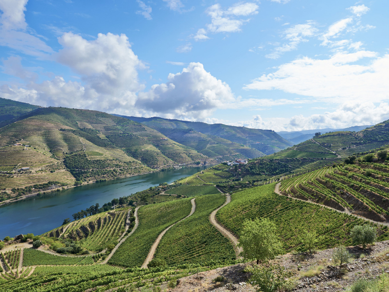 http://Douro%20Valley,%20Portugal