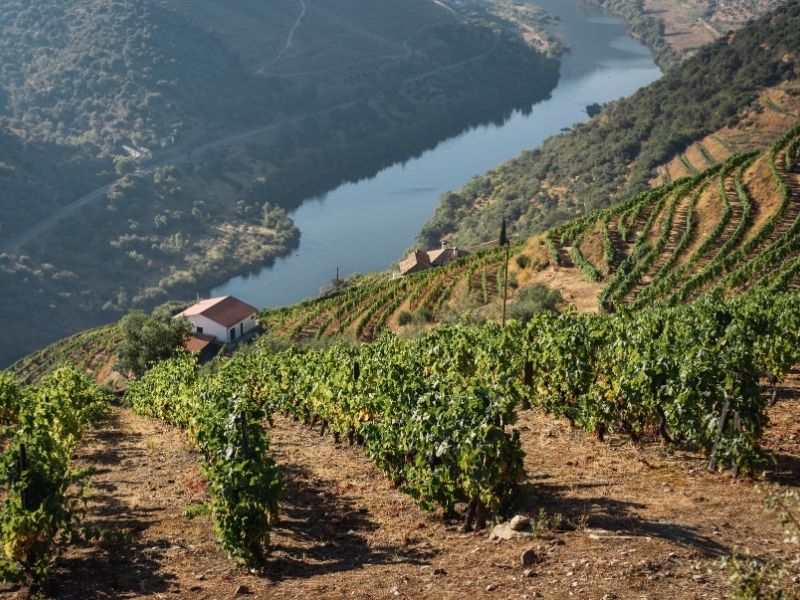 Douro Valley