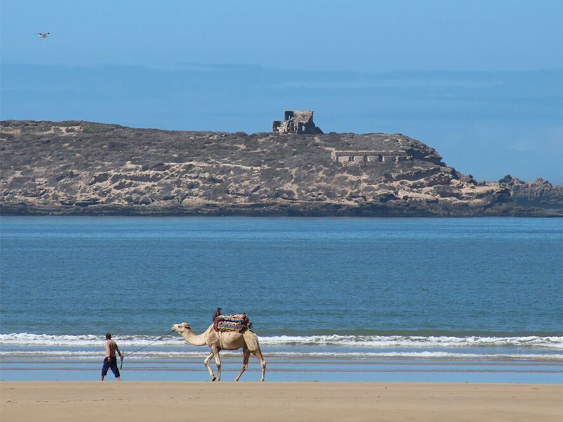 Embark on a private tour of Essaouira during your luxury holiday to Morocco