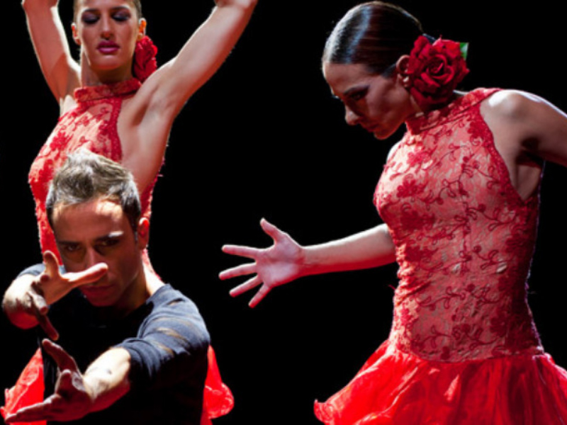 Enjoy a live flamenco performance