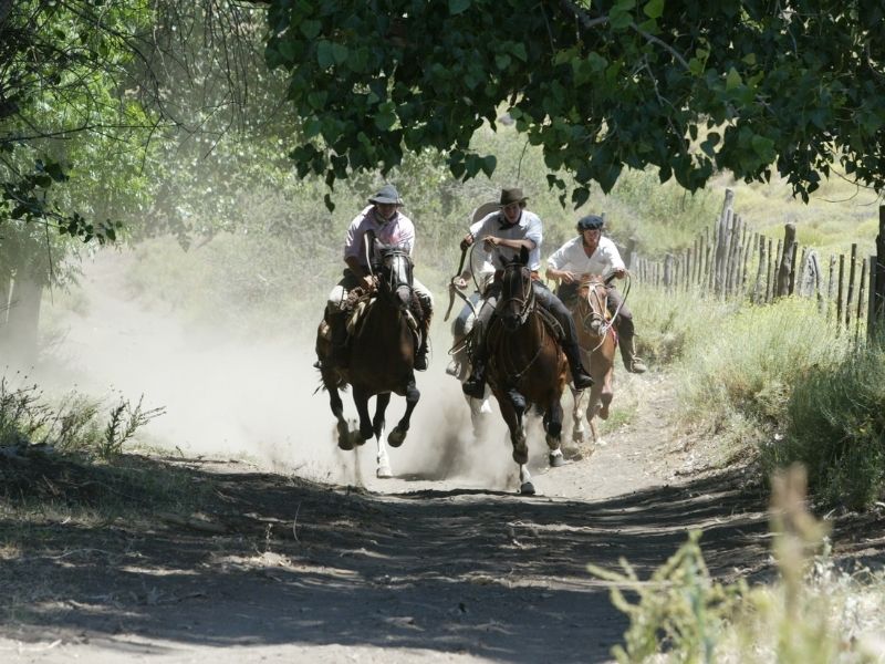 Gaucho, Buenos Aries