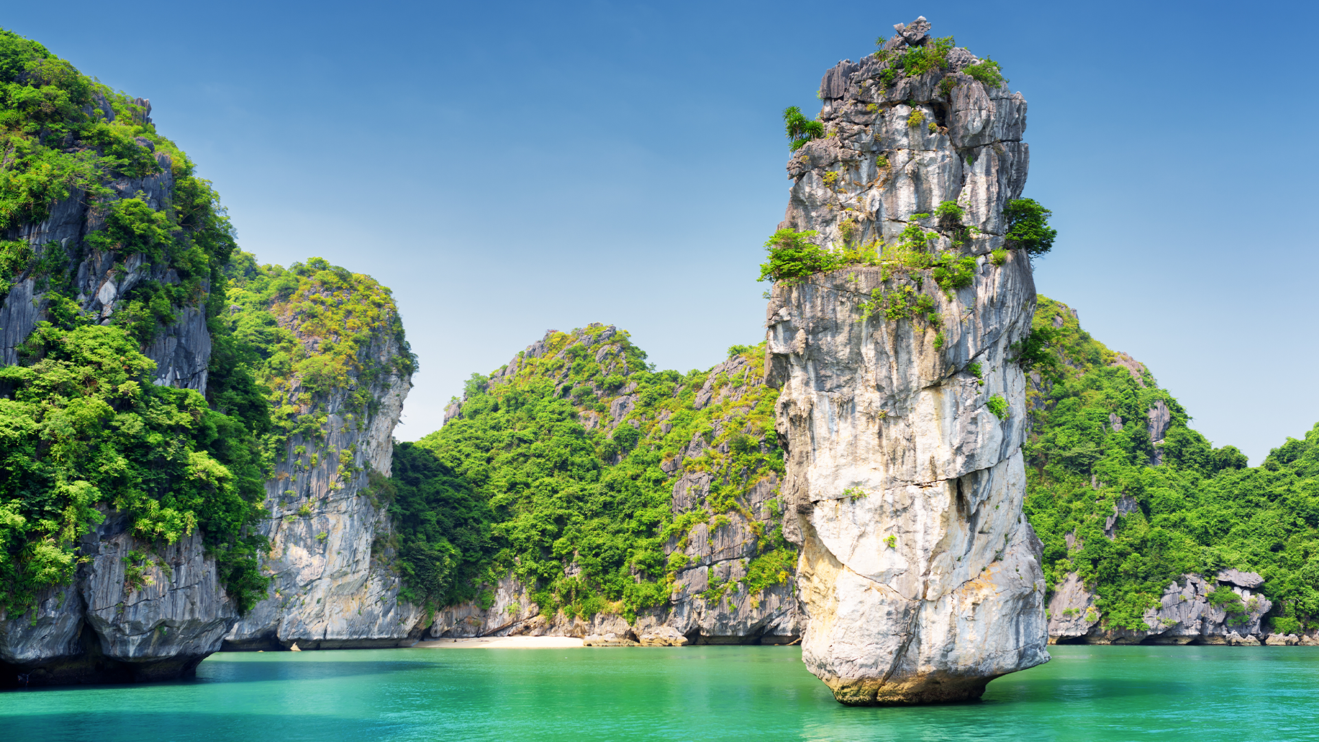 Halong-Bay-Orchid-Cruise