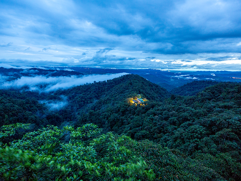 Mashpi Rainforest Ecuador