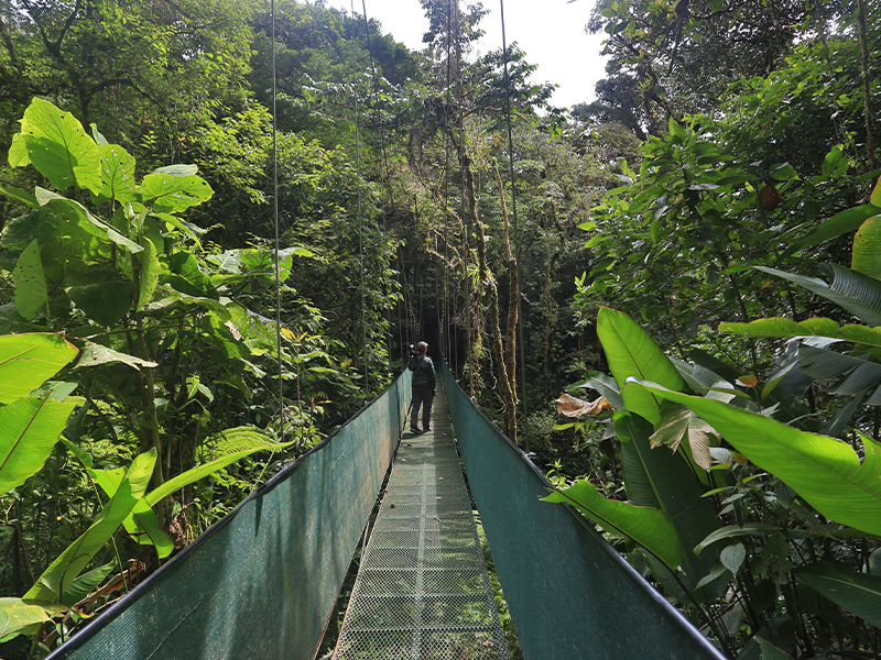 Monteverde Costa Rica