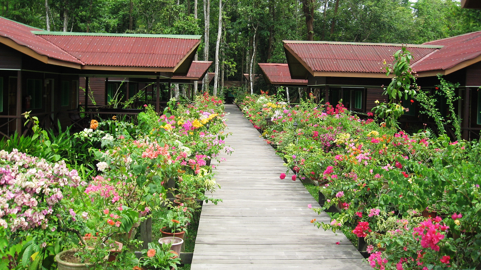 Kinabatangan Wetlands Resort