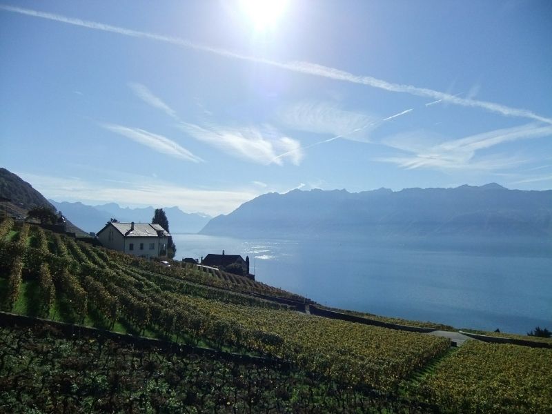 Domaine Bovy Winery, Lake Geneva