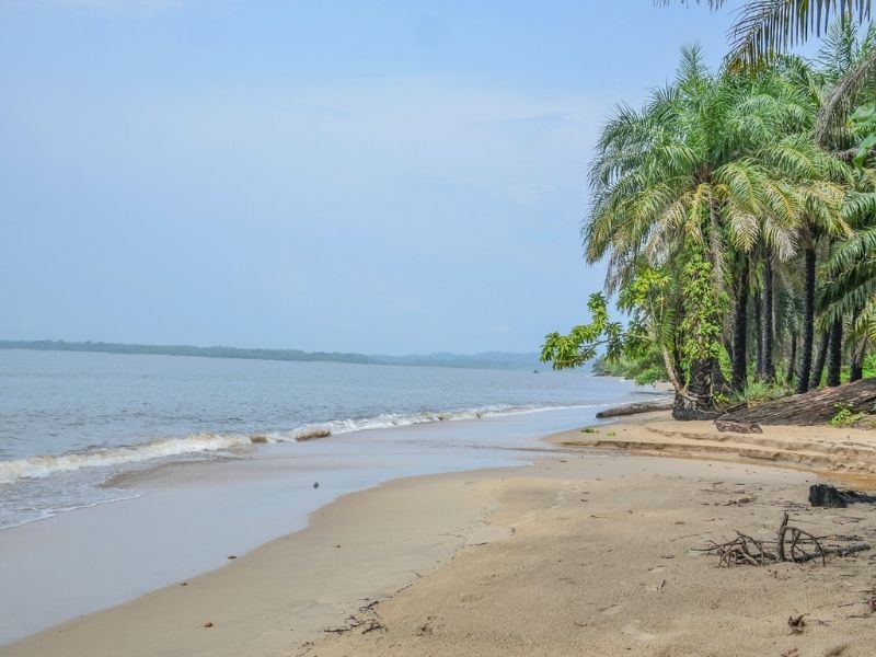 Return to Libreville where you will fly home from at the end of your luxury Gabon holiday