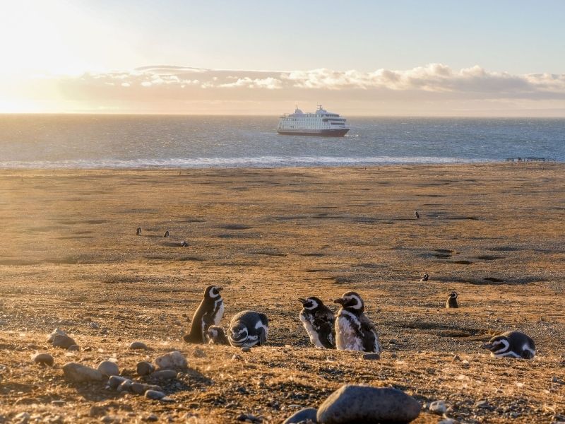 Magellan Island, Chile