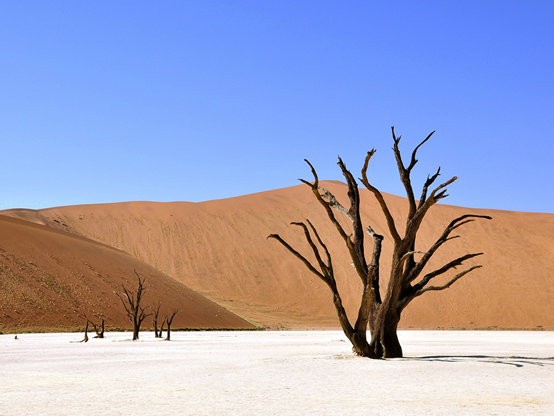 Visit Sossusvlei during your luxury Namibian holiday