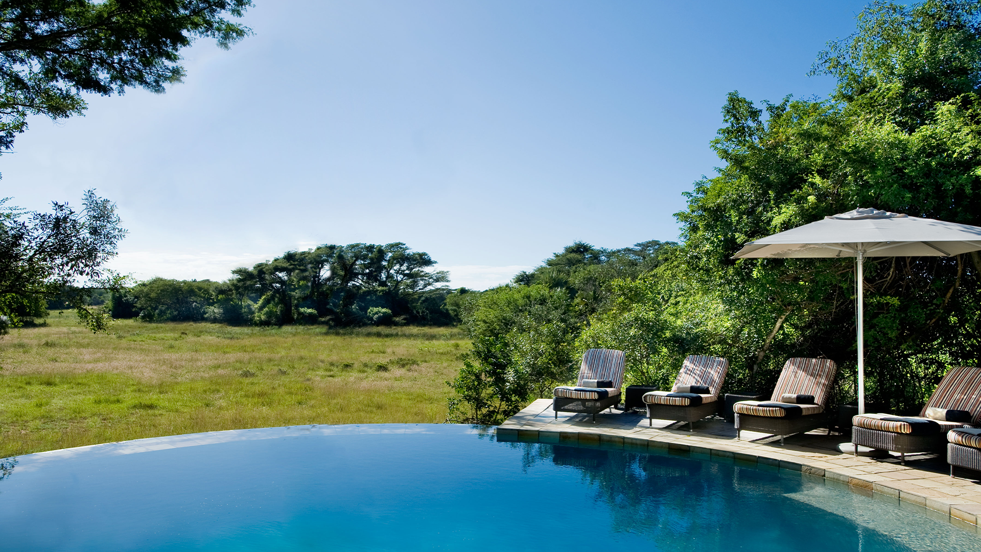 Phinda-Forest-Lodge