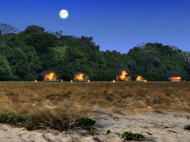 Spend three nights in Pongara National Park during your luxury Gabon holiday