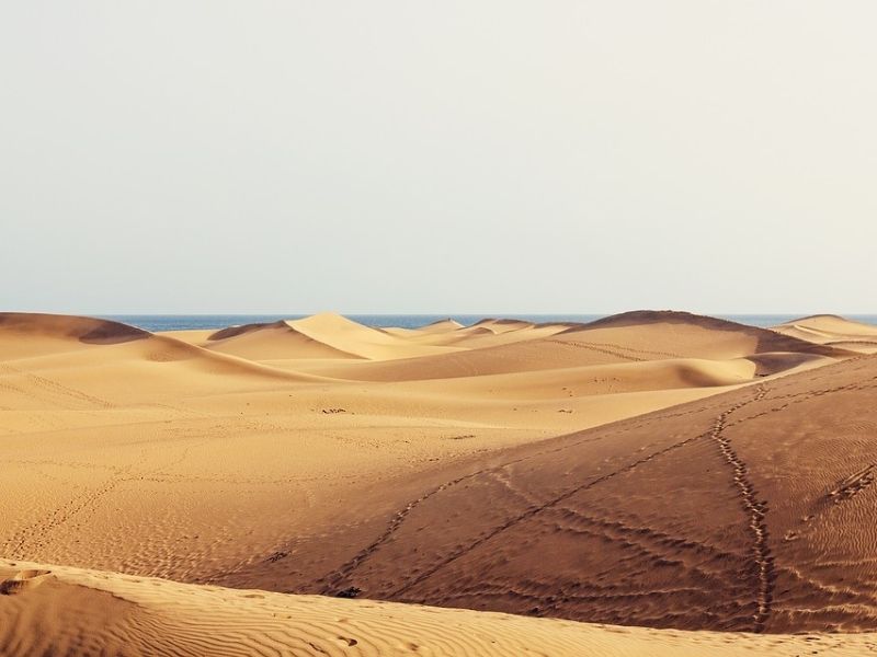 Sand dunes, Gran Canaria