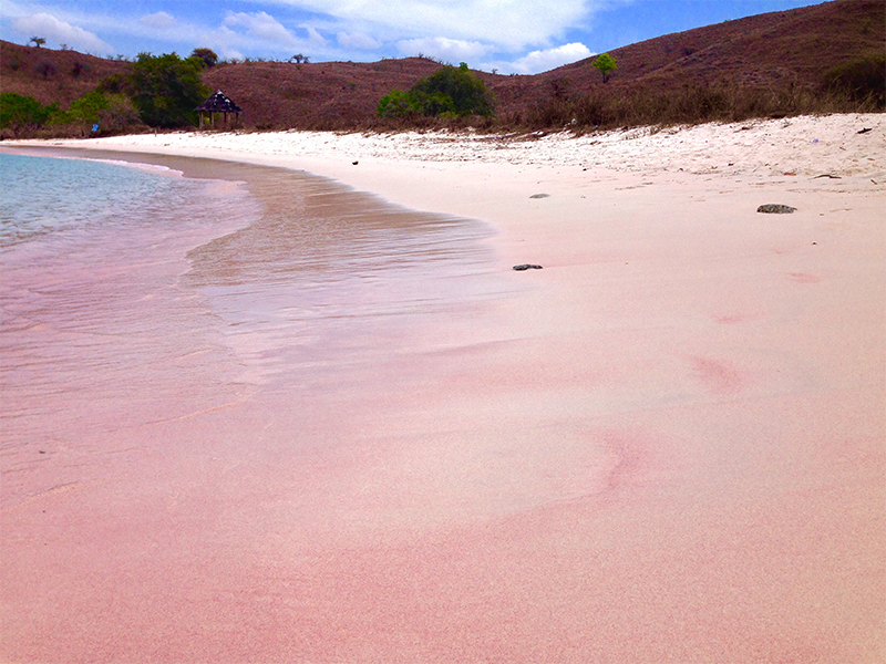 Pink Beach Komodo