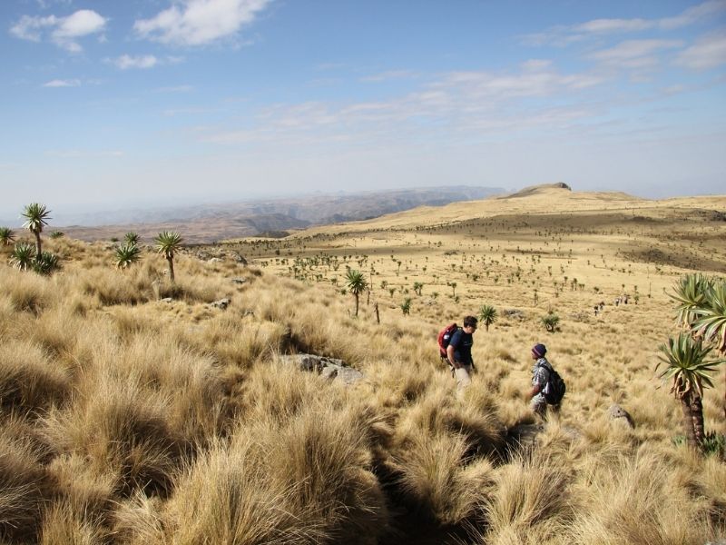Enjoy various mountain excursions in Simien National Park on your luxury Ethiopian holiday