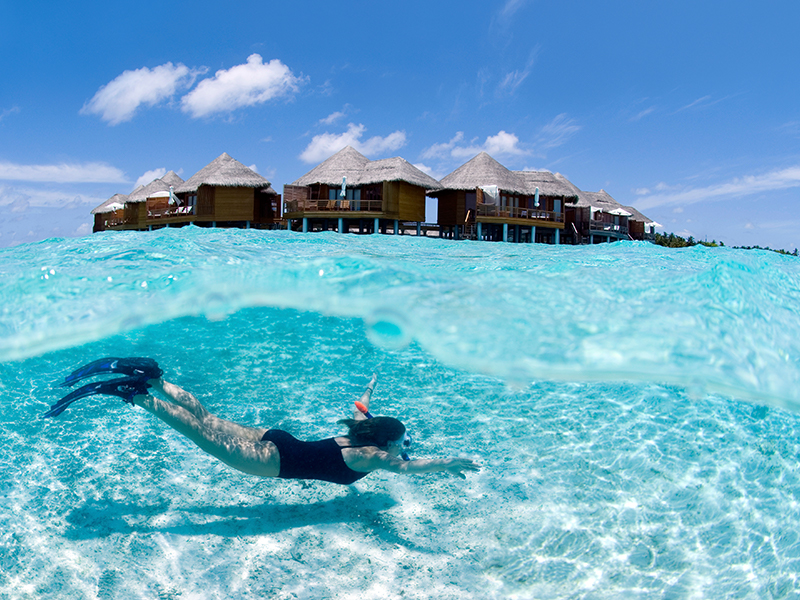 Snorkelling in the Maldives