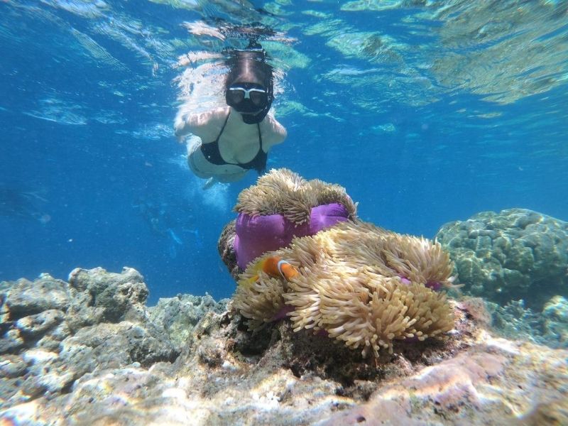 Snorkeling in Antigua