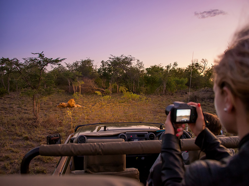 Embark on morning and evening safaris during your luxury holiday to South Africa