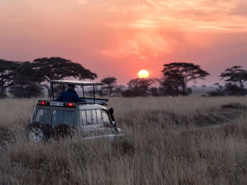 Enjoy morning & afternoon game drives on your luxury Botswana safari holiday