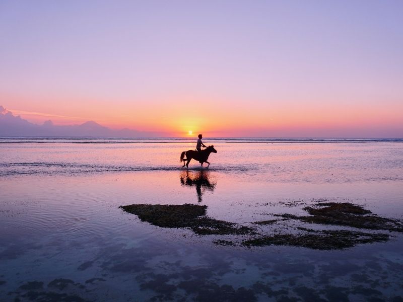Enjoy a sunset horse ride along the Atlantic coast during luxury holidays to Morocco